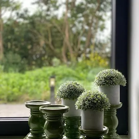 Mademoiselle Nineth Met Sauna Ferienhaus De Panne