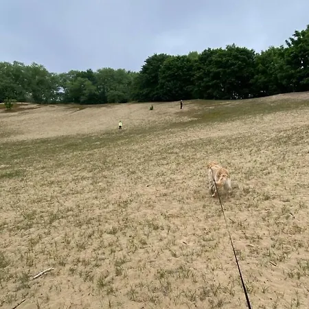 Mademoiselle Nineth Met Sauna