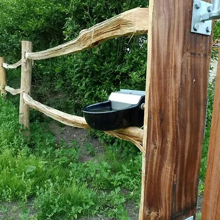 Mademoiselle Nineth Met Sauna De Panne