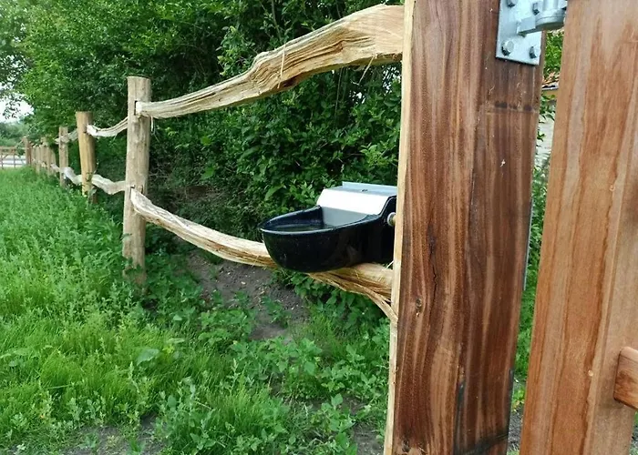 Mademoiselle Nineth Met Sauna De Panne